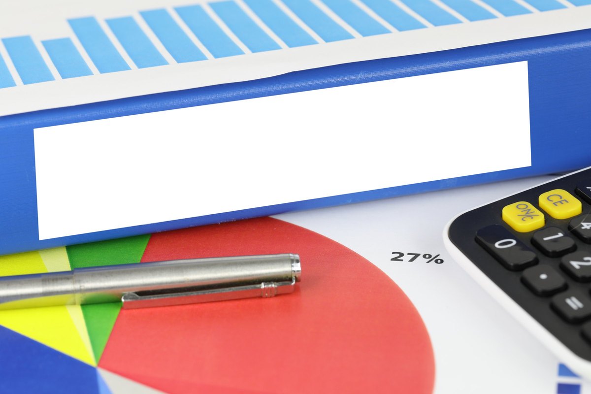 Blue ring binder with a blank label - blank template
